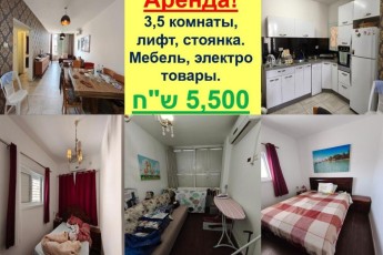 3,5 комнаты в аренду!