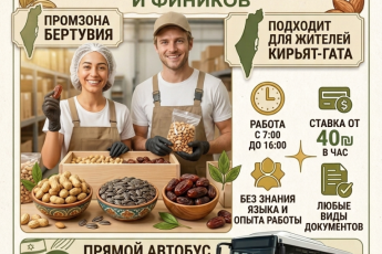 Требуются 3 сотрудника на упаковку орешков, семечек и фиников